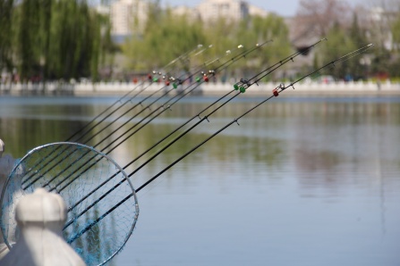 Fishing poles line the lake at Houhai.