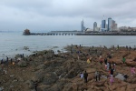 Both the tide pools and the pier are packed.