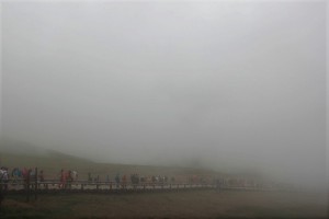 The fog road